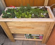 Handmade Raised Garden Planter  Solid treated Wood (1m)  (dog not included )