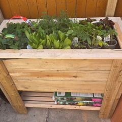 Handmade Raised Garden Planter  Solid treated Wood (1m)  (dog not included )