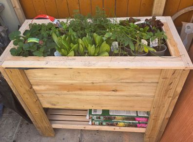 Handmade Raised Garden Planter  Solid treated Wood (1m)  (dog not included )