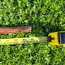 Hand-Carved Wooden Snake Walking Stick / Serpent Cane Image 9
