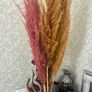dried flowers Image 3