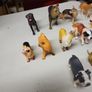 Dog collection Image 2