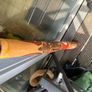Authentic Aboriginal boomerang and didgeridoo, 88cm Image 4