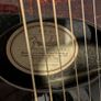 Fender Stratacoustic Deluxe Image 2