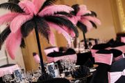 Feather Centrepieces x12 (pink/black)