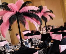 Feather Centrepieces x12 (pink/black)