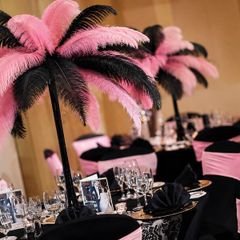 Feather Centrepieces x12 (pink/black)