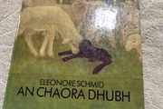 Irish language children's book