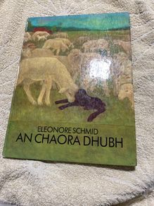 Irish language children's book