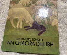Irish language children's book