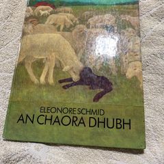 Irish language children's book
