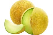 (M) Melon Jucar H hybrid seeds (5s) (111077)