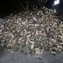Firewood processing Image 2
