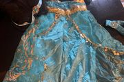 Disney princess Jasmin costume