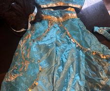 Disney princess Jasmin costume