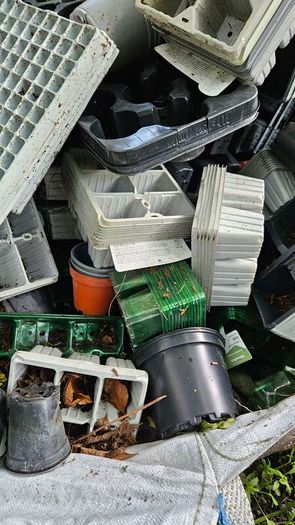 Free Plant Pots