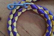 Dog leash