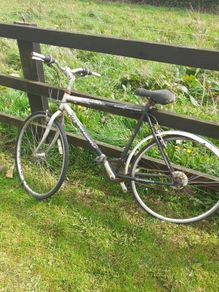 free bikes