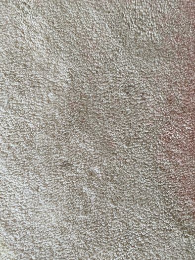 West Elm Cloudscape Belgian Flax Rug