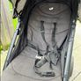 jole buggy Image 6