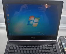 acer extensa