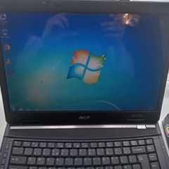 acer extensa