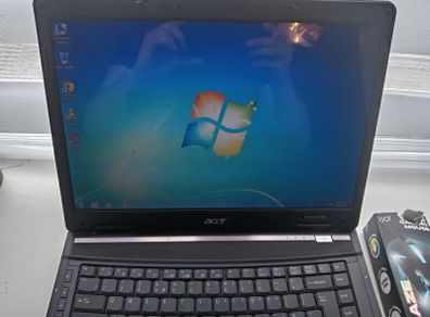 acer extensa