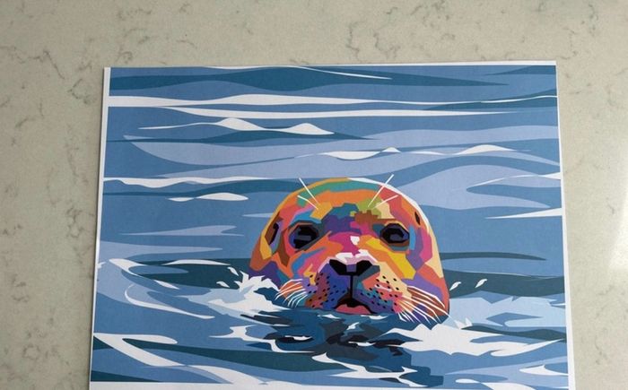 Original Limited Edition Graphic Print "Seal"