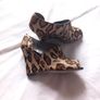 wedges Image 4