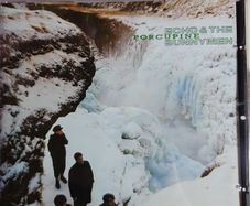 Echo & The Bunnymen CD  - Porcupine