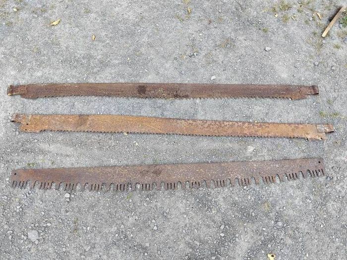 Three vintage crosscut saw blades,