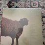 Funkadelic - Greatest Hits LP Image 2