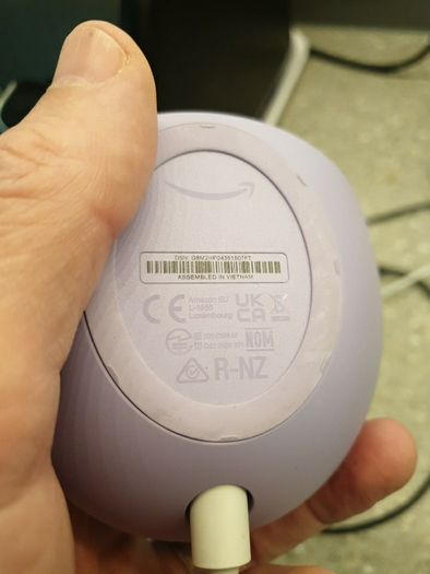 Amazon alexa smart speaker