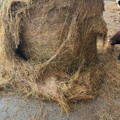 Silage