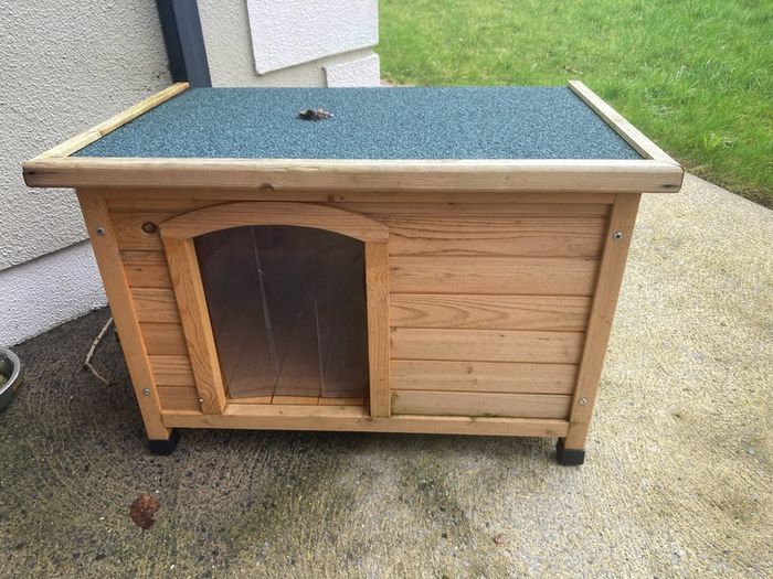dogs shed