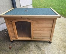 dogs shed