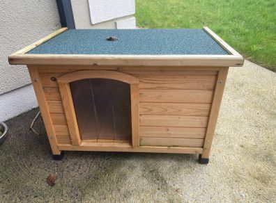 dogs shed