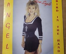 Angel Bird In The Hand 7 inch Vinyl Single 1991 SRS Records Irish Pressing