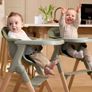 Baby Elegance Madh Highchair Sage Image 2