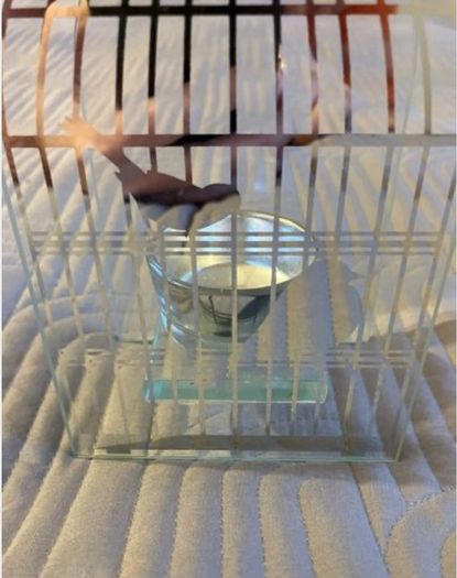 Beautiful Glass Bird Tealight holder - Christmas