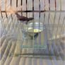 Beautiful Glass Bird Tealight holder - Christmas Image 3