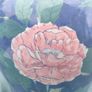 18 inch Famille Rose ginger jar Image 9