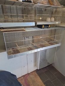 bird cage