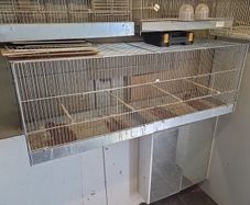 bird cage