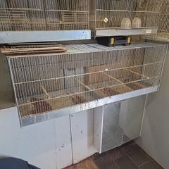 bird cage