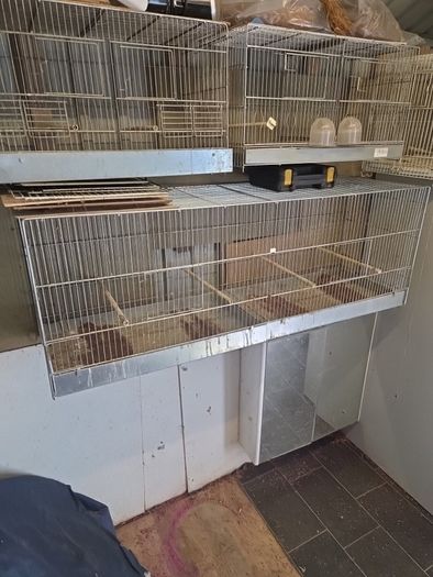 bird cage