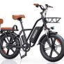 Ridstar FM001 2-Seater Electric Bike Image 2