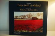 Tulip Fields of Holland