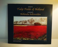 Tulip Fields of Holland