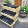 3 Tier Planter Special Offer Image 2